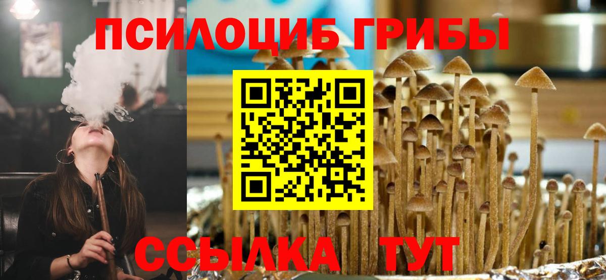 Галлюциногенные грибы прущие грибы Обнинск