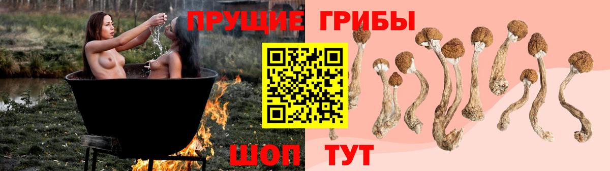 Обнинск  Галлюциногенные грибы MAGIC MUSHROOMS  купить   Вход с VPN  Галлюциногенные грибы Psilocybe 